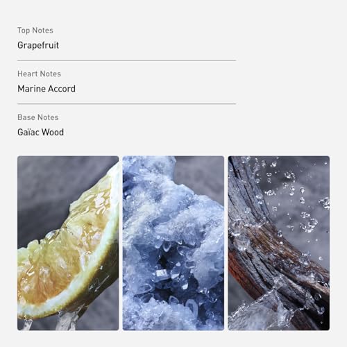 La mejor comparación de Invictus Perfume los 5 mejores. 24 Invictus Perfume marca Rabanne (2)