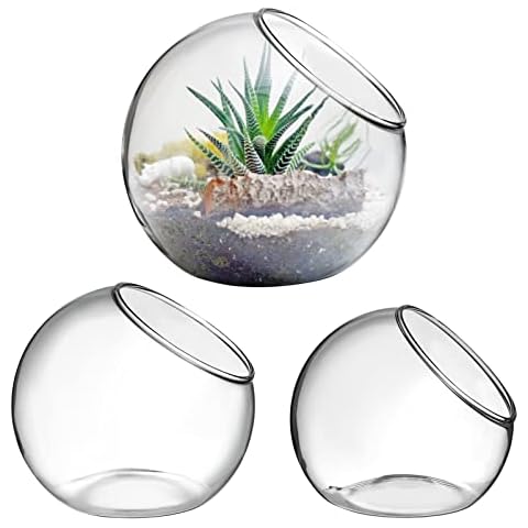 Alipis Glass Terrarium Planters Set Cover