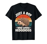 Just A Boy Who Loves Hedgehogs.