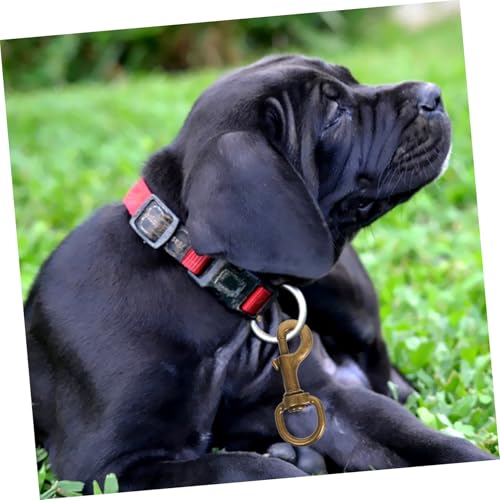 Collier de chien avec articulation pivotante en alliage bronze