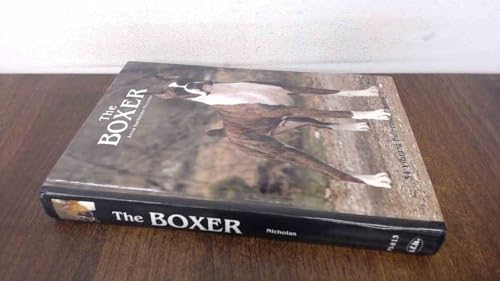 The Boxer view 2