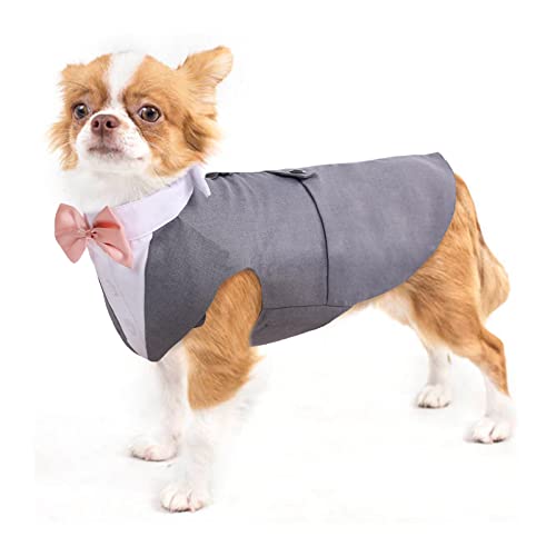 Hund Kleidung Tuxedo, Haustier Mantel Formale Hochzeit Verkleidungen & Kostüme für Hunde Chihuahua Kostüm Formelles Hunde-Smoking(Grau, S)