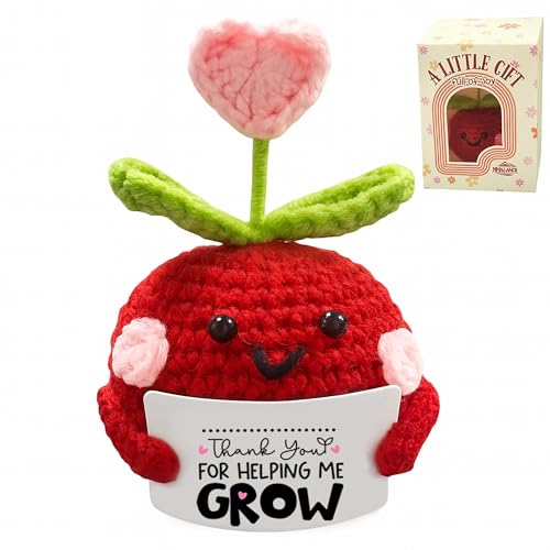 Decorative handmade crochet apple with message card