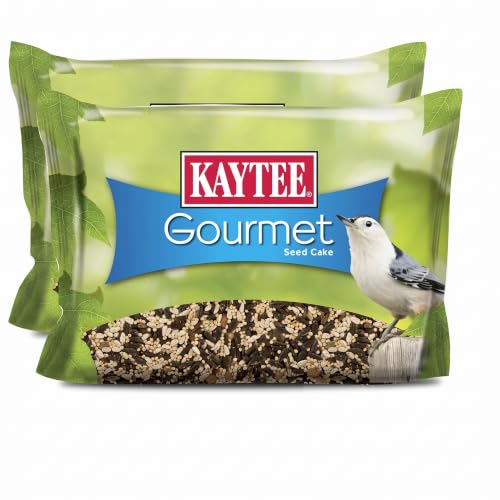 Kaytee Wild Bird Gourmet Seed Cake for Cardinals,Chickadees,Juncos,Titmice,Woodpeckers and More,2 Pounds,(Pack of 2) - image 1