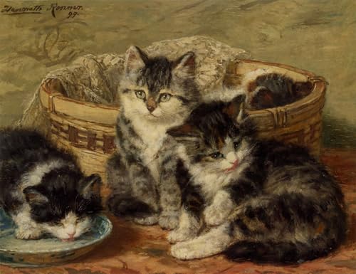 Affiche Henriette Ronner Knip poster graffiti quatre chatons art mural 60x90