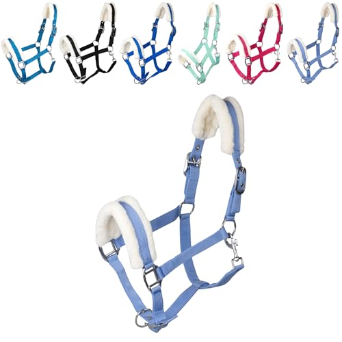RL24 - Halfter Basicline mit Plüschpolsterung – Babyblau – Pony