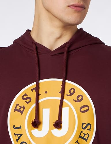 Sweat à capuche homme JACK & JONES idéal pour vos sorties décontractées