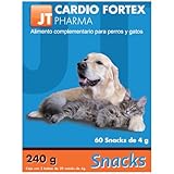 JT- Cardio FORTEX Snack 60X4GR