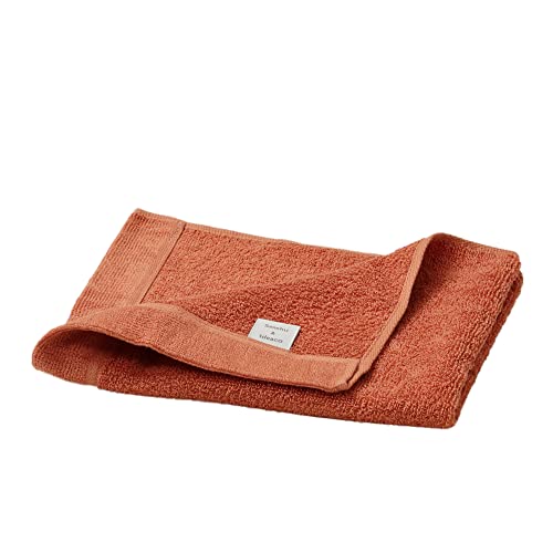 ideaco 泉州タオル 34×40cm ミニフェイスタオル ハンドタオル ループ付き テラコッタ mini face towel