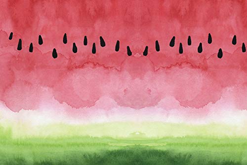 バック紙背景紙スイカ夏ウォーターメロンピンク装飾写真撮影スタジオ