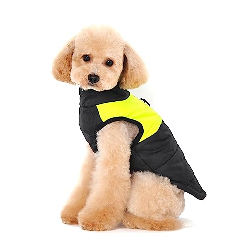 Ectkuee Winter Warm Pet Hund Kleidung klein wasserdichte Hundemantel Jacke Winter Gesteppt Gepolstert Puffer Pet Kleidung…