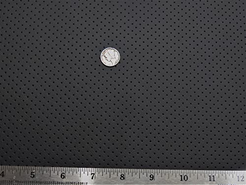 Black Perforated Leather Hides #TOP1