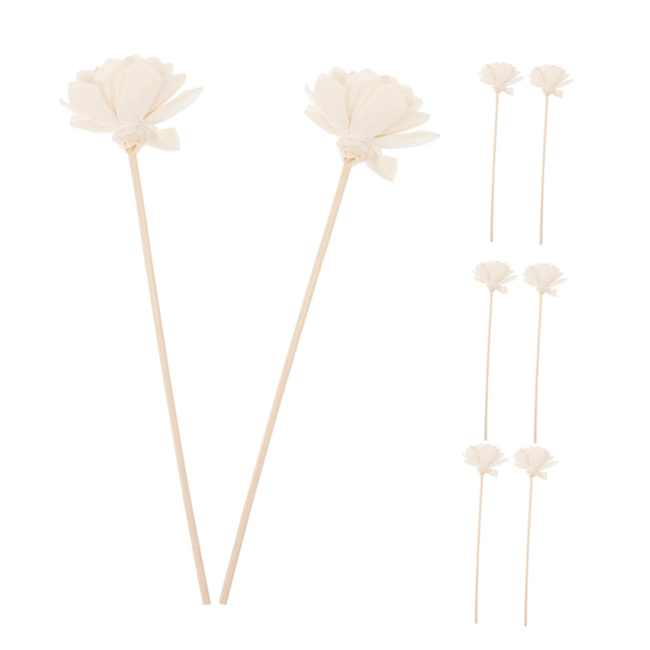 Cabilock Scented Oil Diffuser Sticks 8pcs Aromatherapy Flower Diffuser Natural Dried Flower for Home Office