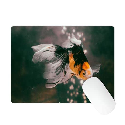 MeetYouAffection - Mouse pad Fish Images Computer Mouse pad, Non-Slip Rubber Mouse pad 9 X 7 inch (Fish 4)