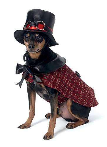 Patrón de Costura disfraces Steampunk para perros miniatura 2