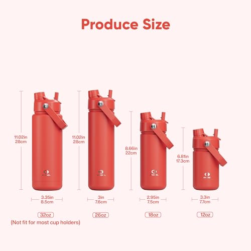 Image of ENCOOL Insulated Water Bottle with Straw Stainless Steel Water Bottle, Leak-Proof, BPA-Free, Double Wall Vacuum Keeps Cold for 24 Hours for Sports, Travel, School (32 oz, Tawny Orange)