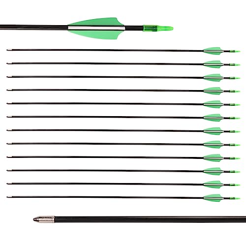 Find The Best Arrows For Target Practice Reviews & Comparison Katynel