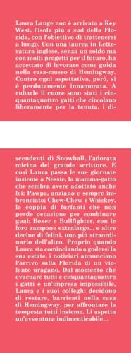 I Gatti Di Casa Hemingway - 3