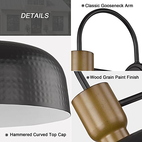 Luminzone Outdoor Wall Sconces, Barn Lights Outdoor Gooseneck Lighting Farmhouse Hammered Wall Lighting,Classic Wall Mount Lamp Outdoor & Indoor,Black #TOP3