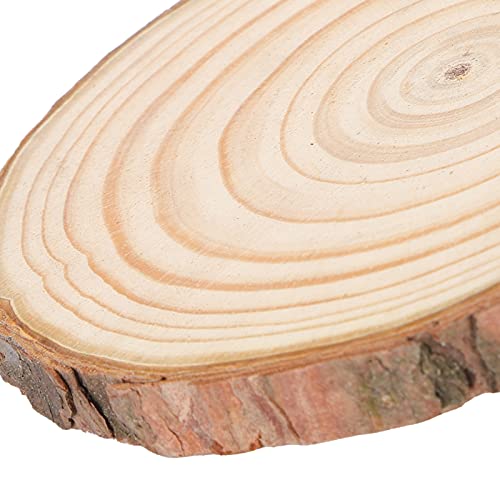 Wood Slices Unfinished Log Wooden Circles Log Wooden Rounds for Arts Crafts Wall Decor Wedding Christmas DIY Projects(11~12cm) - Image 3