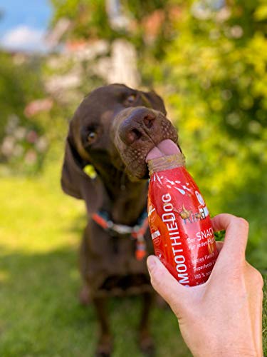 Lickimat Buddy L 30,5x25,5cm mit SmoothieDog Hundesmoothie 6er Probierset - 100% getreidefrei, für alle Hunde, 6 Sorten - Lamm, Rind, Huhn, Trinkpause, Immunio und Gemüsebeet, je 1x 250 ml