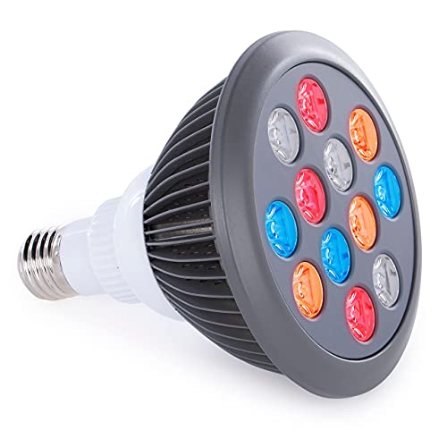 Red Light Therapy by Hooga. Handheld Skin, Beauty Device for
