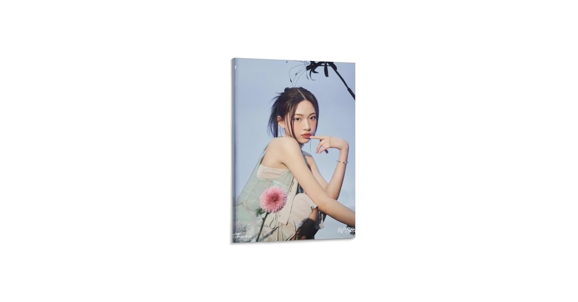希少　Simonsen and Czechura　写真集　デンマーク　インテリア 希少 Simonsen and Czechura 写真集 デンマーク インテリア