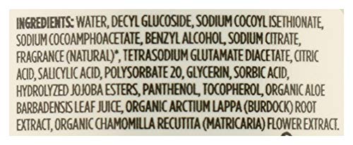 Image of 365 by Whole Foods Market, Hand Soap Foaming Mint Garden, 12 Fl Oz (Pack of 2)