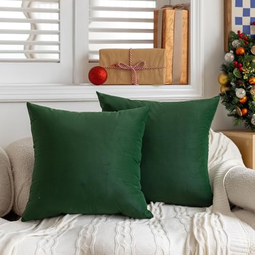 FEVERQIYI Juego de 2 fundas de almohada de terciopelo de 26 x 26 pulgadas, fundas de almohada cuadradas decorativas suaves y sólidas para dormitorio, sala de estar, decoración interior al aire libre