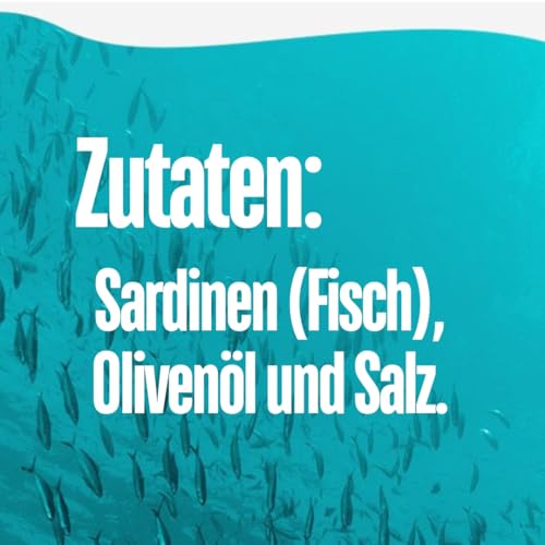 Sardinen in Olivenöl | 10 x 125 g | Berthe | Ramirez | Portugal