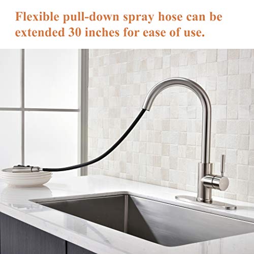 Kitchen Faucet, Kitchen Sink Faucet, Sink Faucet, Pull-Down Kitchen Faucets, Bar Kitchen Faucet, Brushed Nickel, Stainless Steel, RULIA PB1020