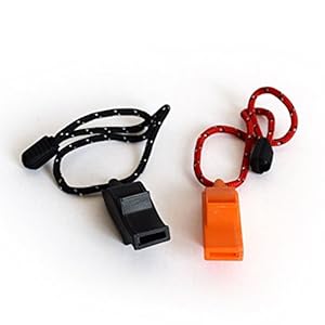 Pet dogs recall training whistle basic whistle durable for training sport game outdoor help 2 pack   cucciolini doodles