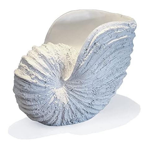 Huey House Nautilus Shell Sculpture - Replica Beach Themed Ocean Decor for Home - Rustic White Resin 10¼" x 6" x 8" Crafted Coastal Seashell Shelf Decor Gift-Boxed Cover
