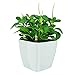Sungmor 8.7"/22cm Macetas de Plantas autorriego - Fácil Agregar Agua + Observar...