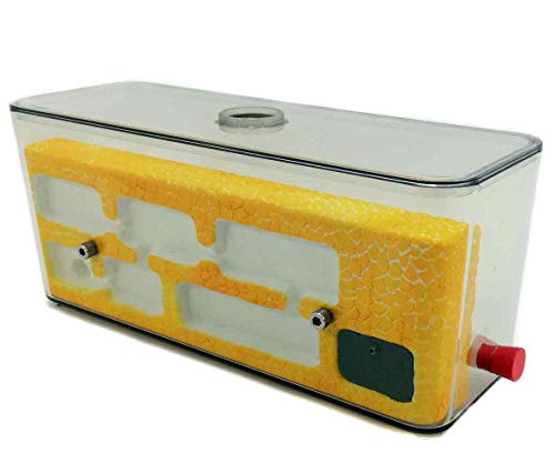 Anthillshop.es -Kit Hormiguero Educativo Piedra L Mediano -con Hormigas Incluida Cover