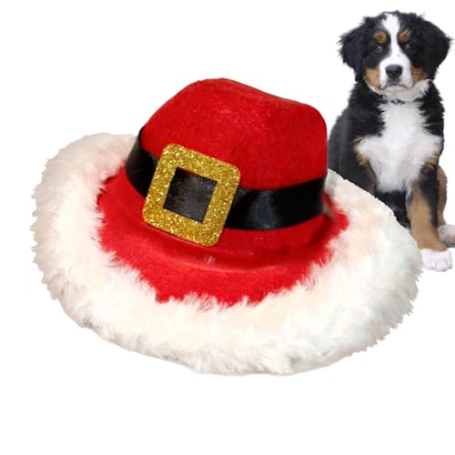 Chapeau de cowboy reglable pour chat ? Couvre-chef pour animal de compagnie avec bordure en peluche, accessoire de costume d'hiv