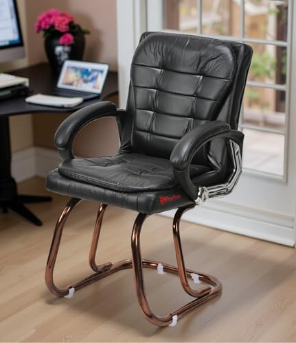 Image of GOYALSON Deluxe Cushioned Office Home Study Chair with Chrome Durable Frame and Cushioned seat Back (1, Black, Copper Coated Double Pipe Frame)