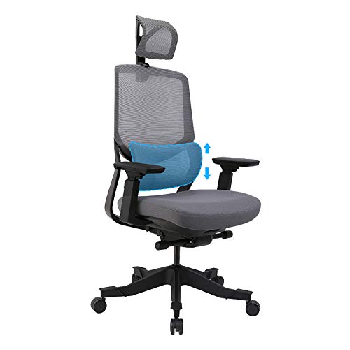FlexiSpot OC3B Ergonomic Office Chair Review (Updated 2022)