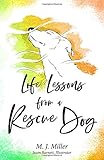 Life Lessons from a Rescue Dog