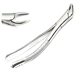 Pedo Extracting Forceps 151s Dental Ddp Instrument