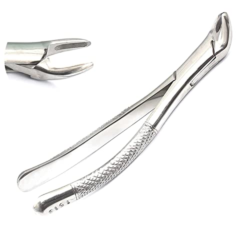 Pedo Extracting Forceps 151s Dental Ddp Instrument