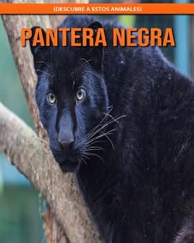 Pantera negra (Descubre a estos animales)