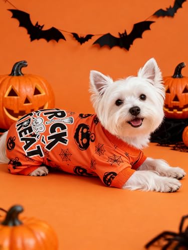 Hund Halloween Pyjamas Weiche Halloween Hundekleidung Kürbis Hunde Pjs Onesie mit Füßen Welpen Pyjamas für Kleine Mittlere Hunde Junge Mädchen Katze Bekleidung S