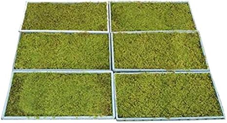 Amazon ハイゴケ マット 58cm 28cm 6枚セット 苔 マット グランドカバー テラリウム ヤネゴケ 這苔 植木 Amazon ハイゴケ マット 58cm 28cm 6枚セット 苔 マット グランドカバー テラリウム ヤネゴケ 這苔 植木