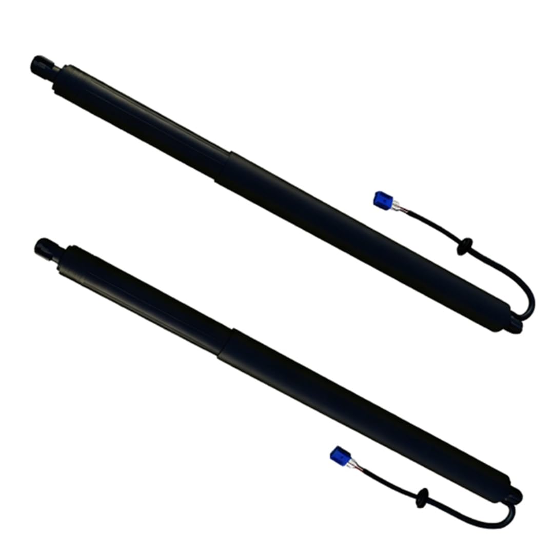 Rufutle Liftgate Struts for BYD Song Pro 2019-2025, Electric Tailgate Support Rod Rear Trunk Strut SA2FC6309511/SA2FC6309512