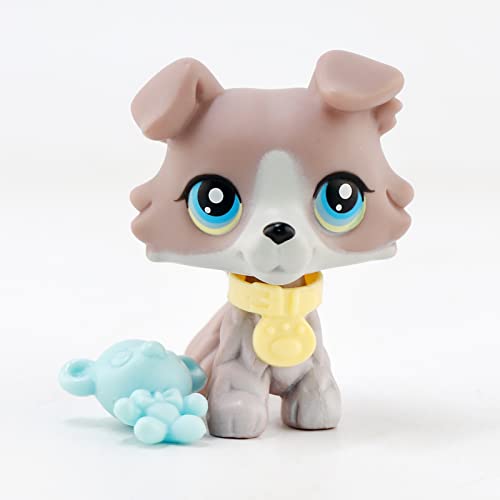 Us Lps Collie 67 Grey Blue Eyes Dog Puppy Rare Old Lps Pets Toy Action Figure Collectable Kids Boys Girls Christmas Birthday Gift Pack #TOP1