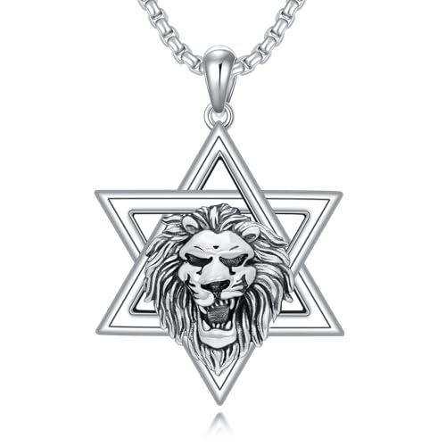 Chaîne lion en argent sterling 925 anti-ternissement étoile David