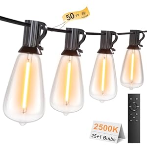 50FT Outdoor String Lights with Remote, Garden Patio Decor with 2500K Warm White, 25+1 LED Edison Bulbs, Support Timer Dimmable Waterproof Shatterproof for Yard Outside Porch Deck Indoor