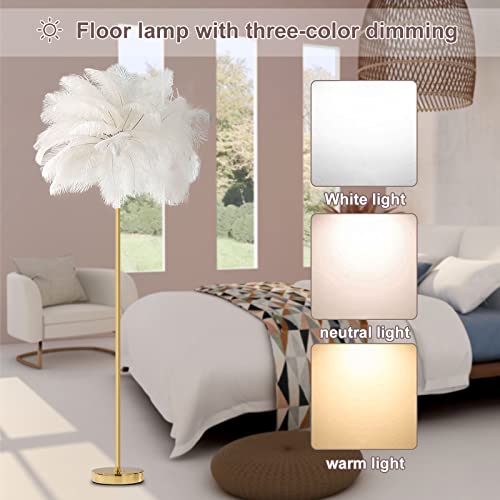 Pombconw Natural Ostrich Feather Lamp Floor,62" Feather Lamps Modern Bedroom Standing Lamp With White Feather Lamp Shade, Led Bulb, Feather Floor Lamps Living Room Lighting For Girl Bedroom Decor #TOP4