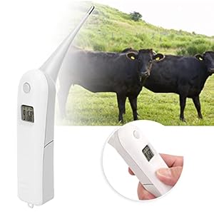   Animal-Electronic-Ehermometer-Pet-Thermometer-DigitalVeterinary-Electronic-Thermometer-Animal-Anus-Thermometer-for-DogsHorse-Cats-PigsSheep-Livestock